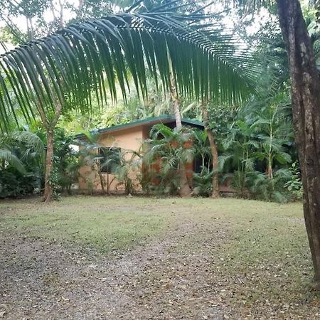 Nosara Paradise Rentals Екстериор снимка